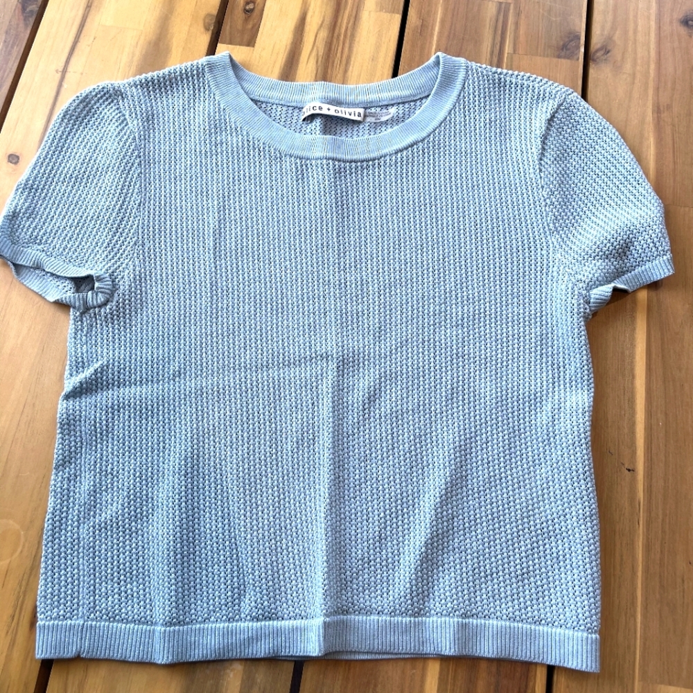 Alice + Olivia Mesh Crop Top Dusty Aqua Blue Short Sleeve Tee Shirt Size Medium